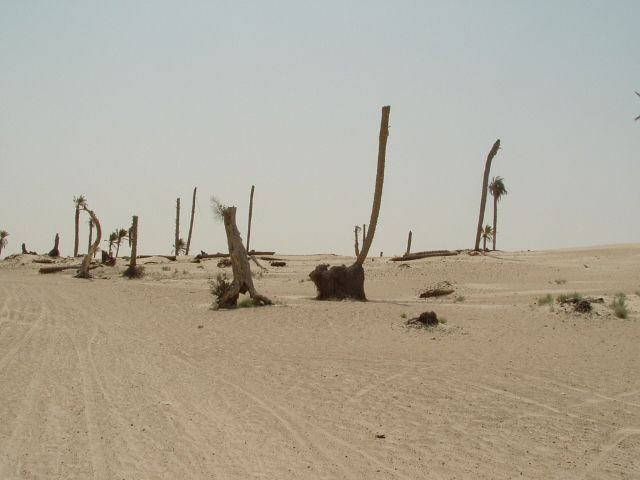 Fonds d'cran Nature Dserts Sahara