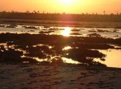 Fonds d'cran Nature Djerba beach