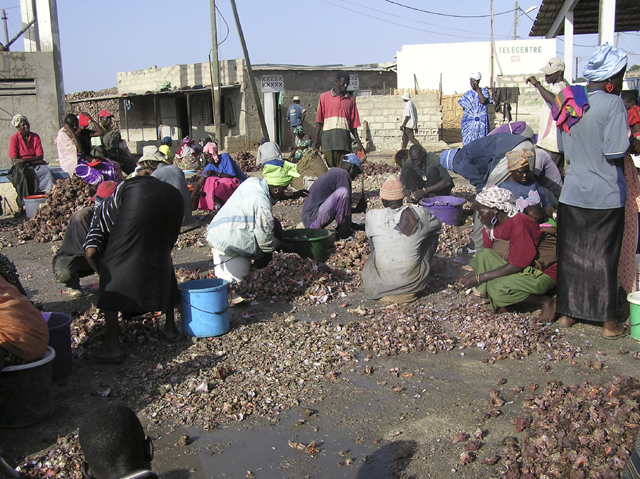 Fonds d'cran Voyages : Afrique Sngal Port de Joal