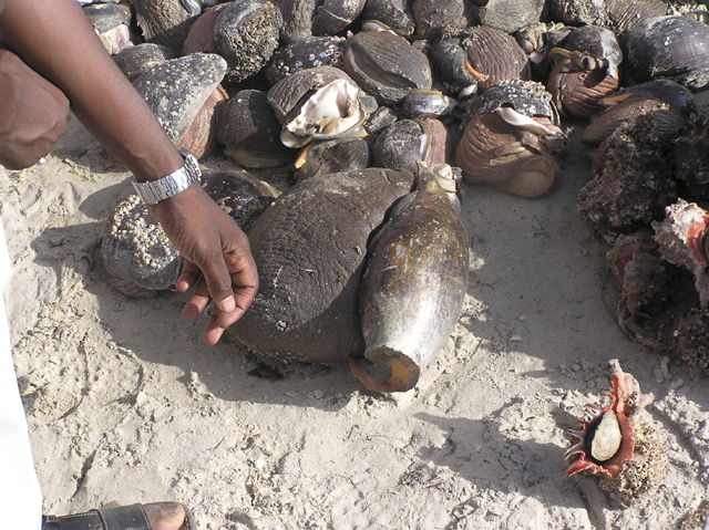 Fonds d'cran Voyages : Afrique Sngal Port de Joal