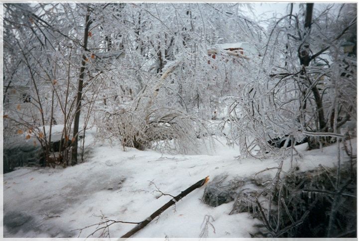 Fonds d'cran Nature Saisons - Hiver verglas du Qubec