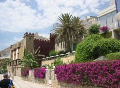 Fonds d'cran Voyages : Europe Bougainvilliers  Benalmadena