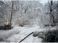 Fonds d'cran Nature verglas du Qubec