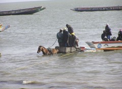 Fonds d'cran Voyages : Afrique Port de Joal