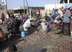 Fonds d'cran Voyages : Afrique Port de Joal