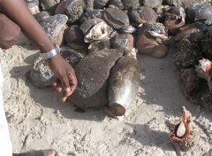 Fonds d'cran Voyages : Afrique Port de Joal