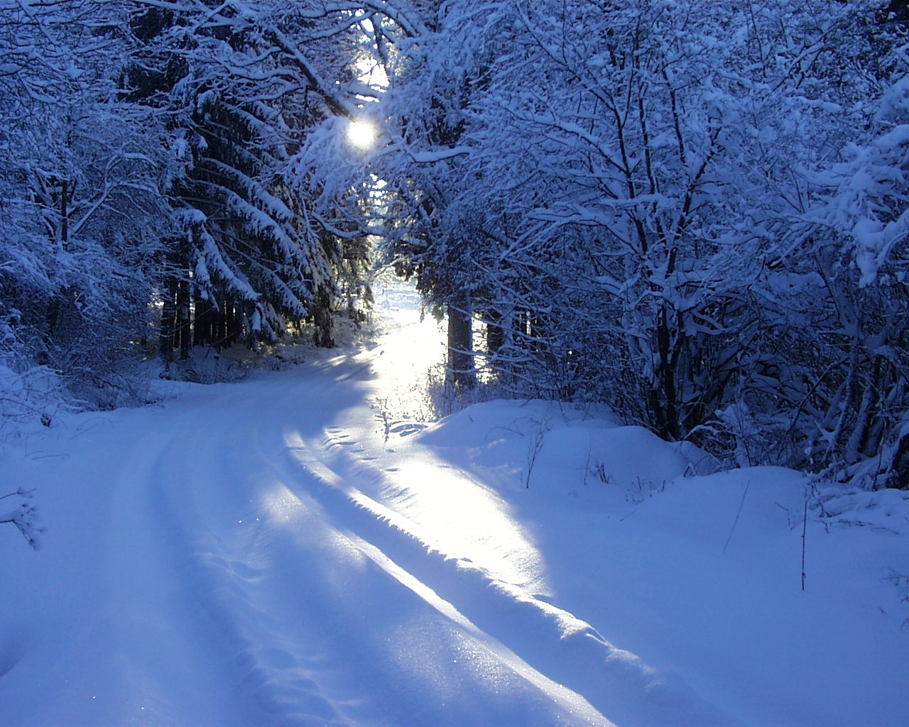 Fonds d'cran Nature Saisons - Hiver hiver 2004-2005