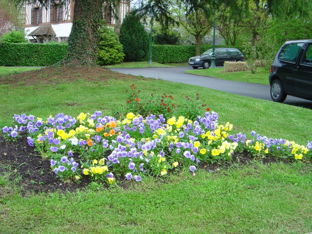 Fonds d'cran Nature Fleurs 