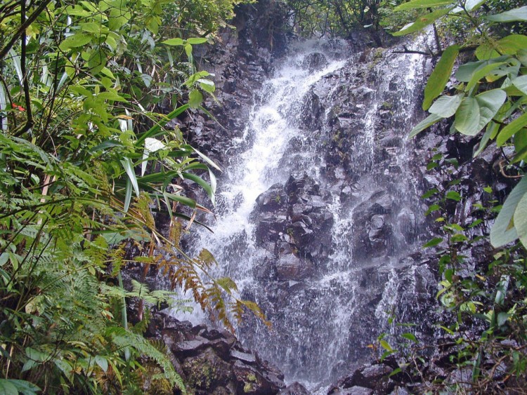 Fonds d'cran Nature Cascades - Chutes Ile de la Reunion