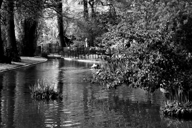 Wallpapers Nature Parks - Gardens jardin des plantes