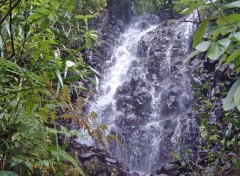 Fonds d'cran Nature Ile de la Reunion