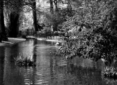 Fonds d'cran Nature jardin des plantes