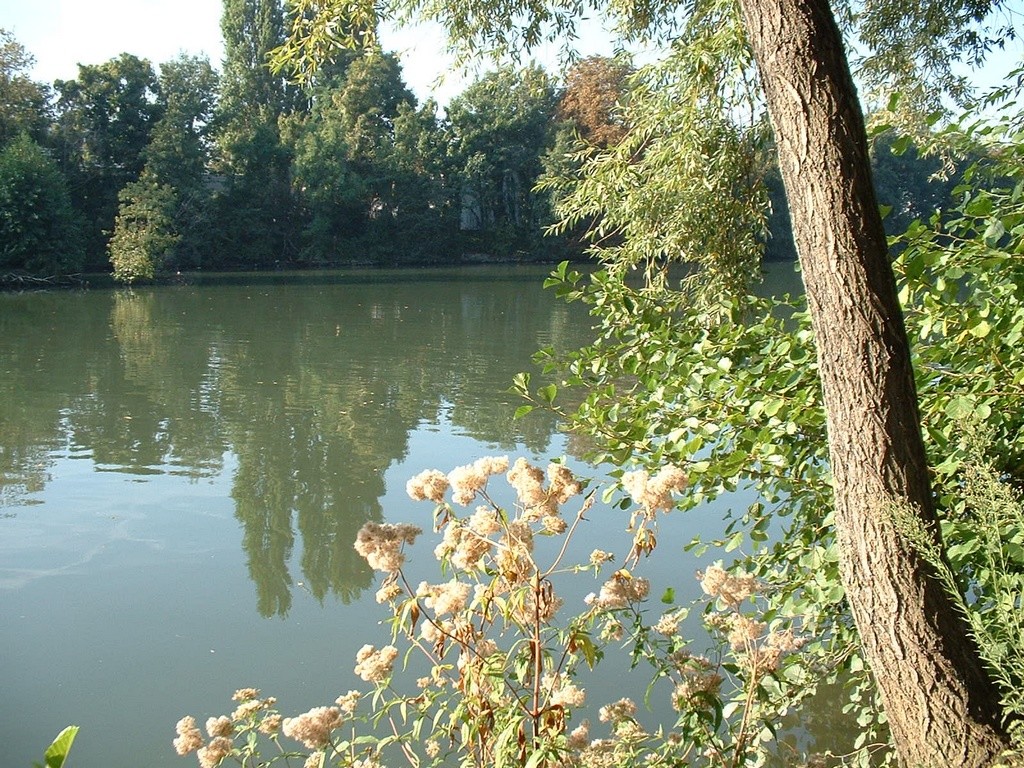 Fonds d'cran Nature Fleuves - Rivires - Torrents Bords de Marne, St-Maur (France)