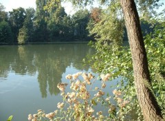 Wallpapers Nature Bords de Marne, St-Maur (France)