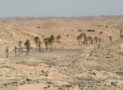 Fonds d'cran Nature Sahara