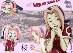 Fonds d'cran Manga Sakura Haruno