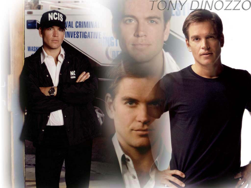 Wallpapers TV Soaps NCIS Agent Tony Dinozzo