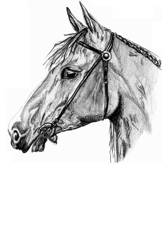 Wallpapers Art - Pencil Animals - Horses Cheval