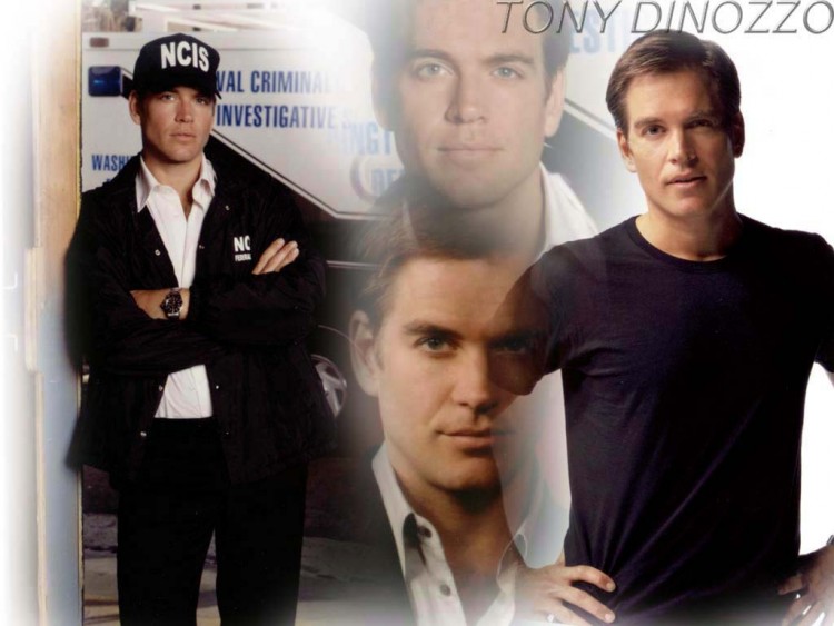 Fonds d'cran Sries TV NCIS : Enqutes Spciales Agent Tony Dinozzo