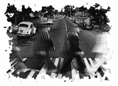 Fonds d'cran Musique Abbey Road