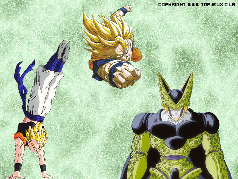 Fonds d'cran Manga Dragon Ball Z 