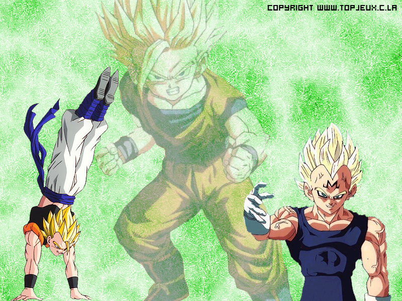 Fonds d'cran Manga Dragon Ball 