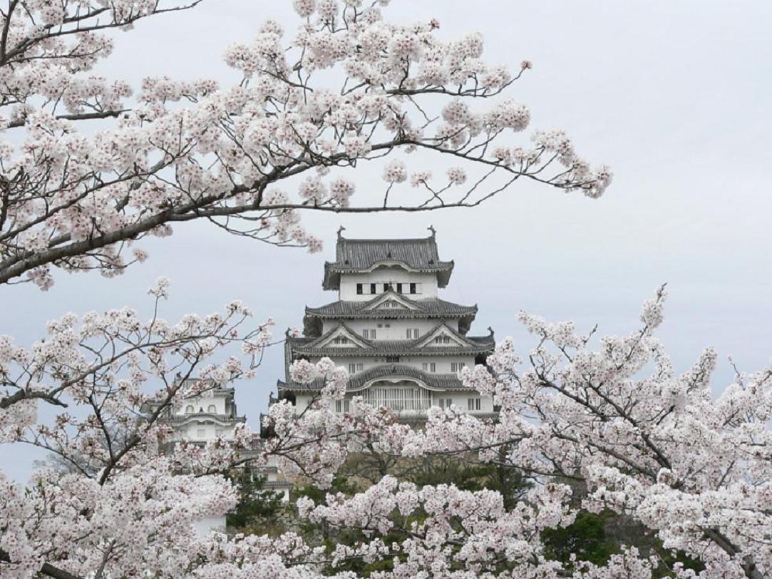 Fonds d'cran Voyages : Asie Japon Chateau d'Himeji