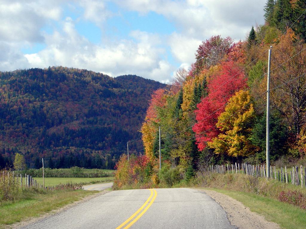 Fonds d'cran Constructions et architecture Routes - Autoroutes ROUTE D'AUTOMNE