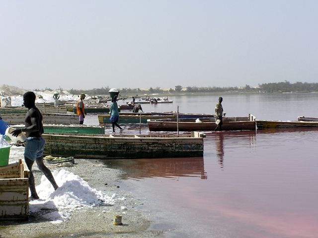 Wallpapers Trips : Africa Senegal Lac rose