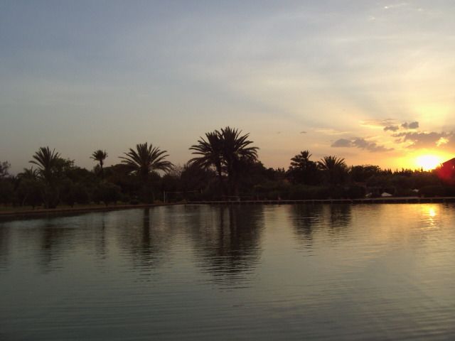 Wallpapers Trips : Africa Morocco Coucher de soleil  Marrakech