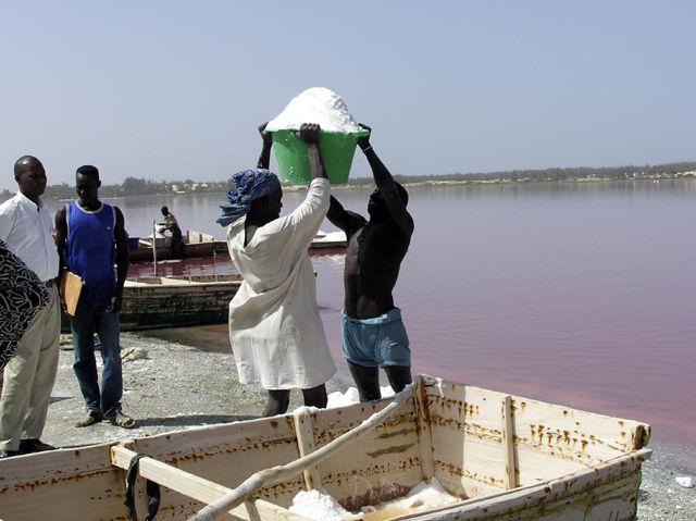 Wallpapers Trips : Africa Senegal Lac rose