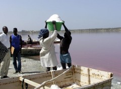 Fonds d'cran Voyages : Afrique Lac rose