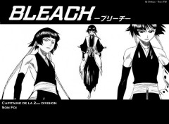 Fonds d'cran Manga Bleach DTC