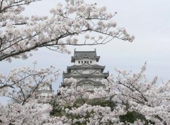 Fonds d'cran Voyages : Asie Chateau d'Himeji