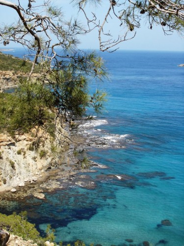 Fonds d'cran Nature Mers - Ocans - Plages Chypre