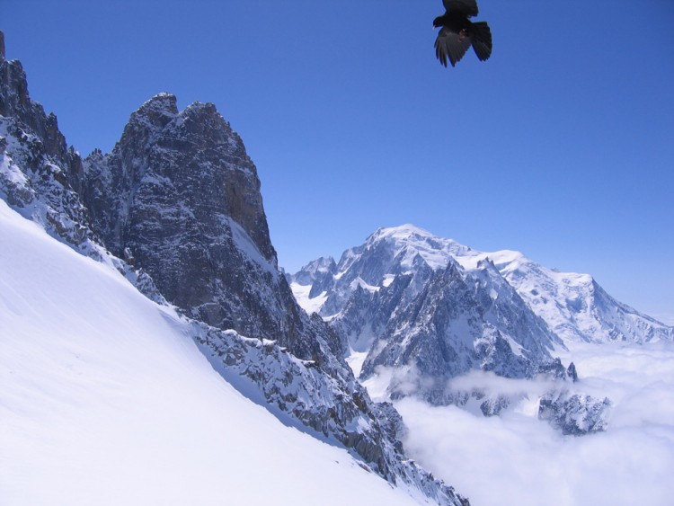 Fonds d'cran Nature Montagnes Les Grands Montets, Chamonix