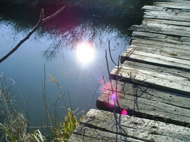 Wallpapers Nature Water - Reflection Un reflet dans l'eau.