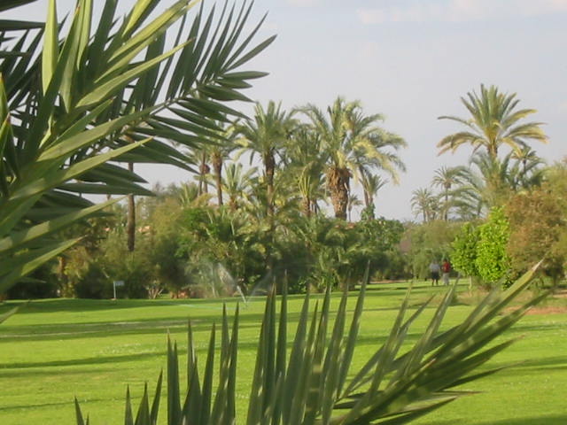 Wallpapers Trips : Africa Morocco Parcours de golf  Marrakech