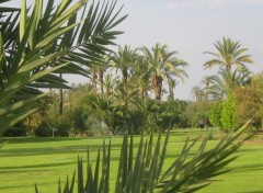 Fonds d'cran Voyages : Afrique Parcours de golf  Marrakech