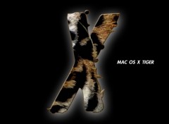 Fonds d'cran Informatique Mac OS X 