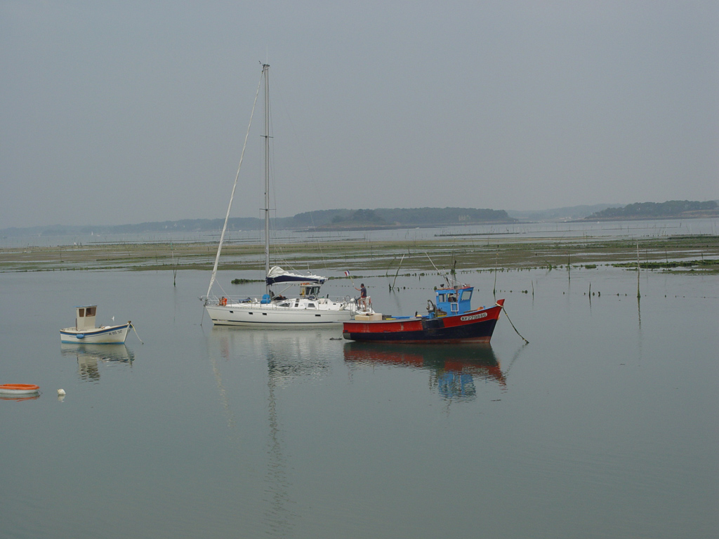 Fonds d'cran Bateaux Voiliers Quiberon