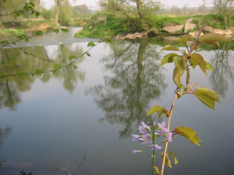 Wallpapers Nature Rivers - Torrents Valle de l'Oise prs de Saint-Quentin