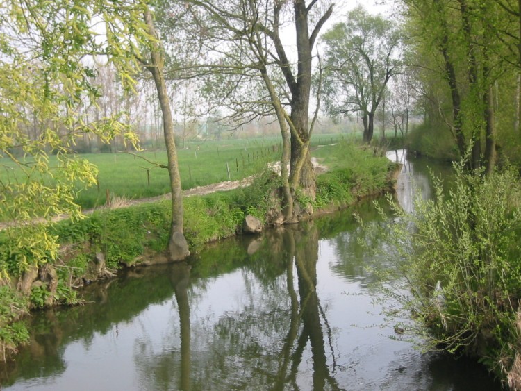 Wallpapers Nature Rivers - Torrents L'Oise  Origny prs de saint-Quentin