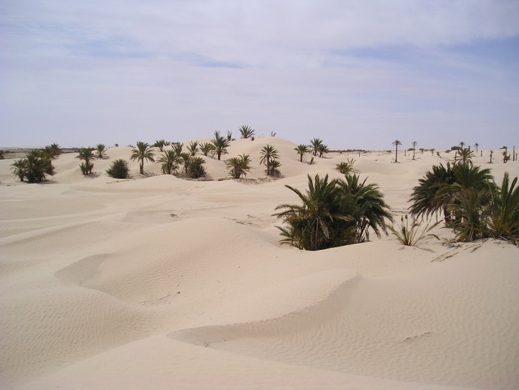 Wallpapers Trips : Africa Tunisia desert