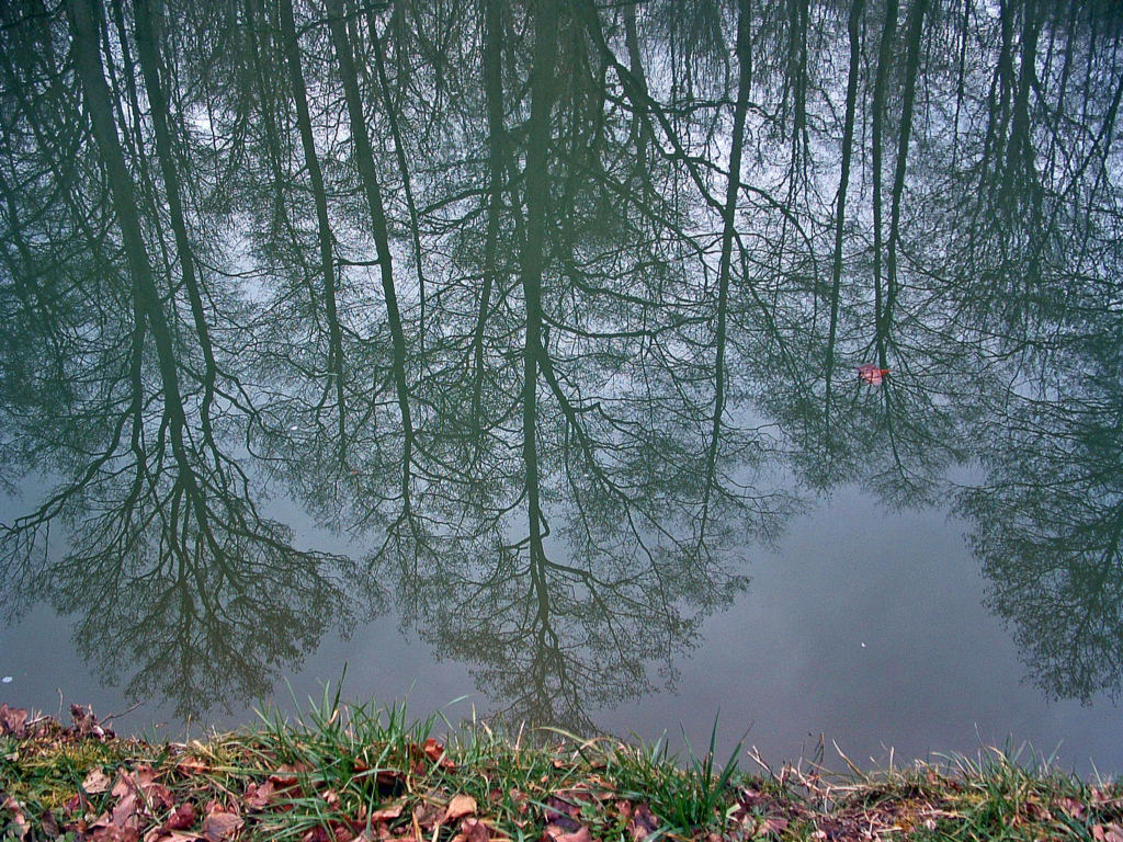 Wallpapers Nature Water - Reflection Reflets...