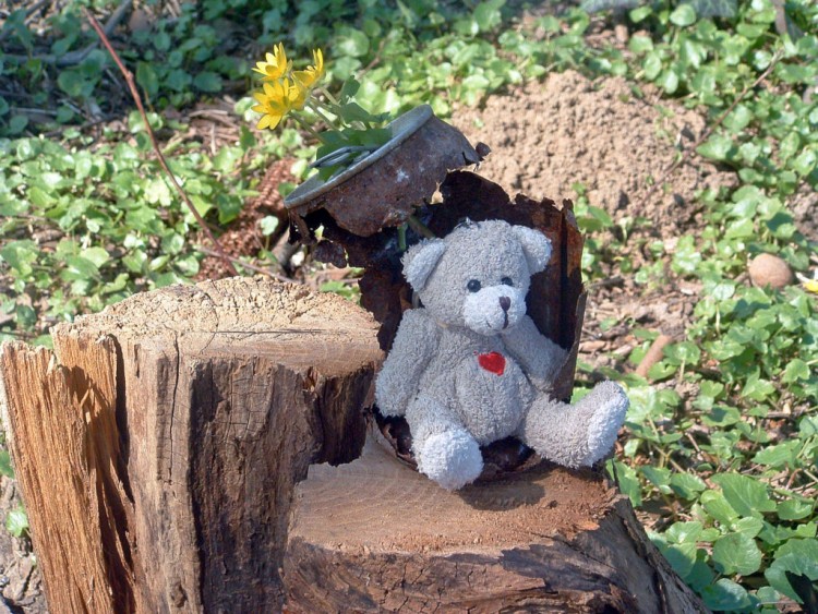 Fonds d'cran Objets Peluches Petit Ours et son parasol...