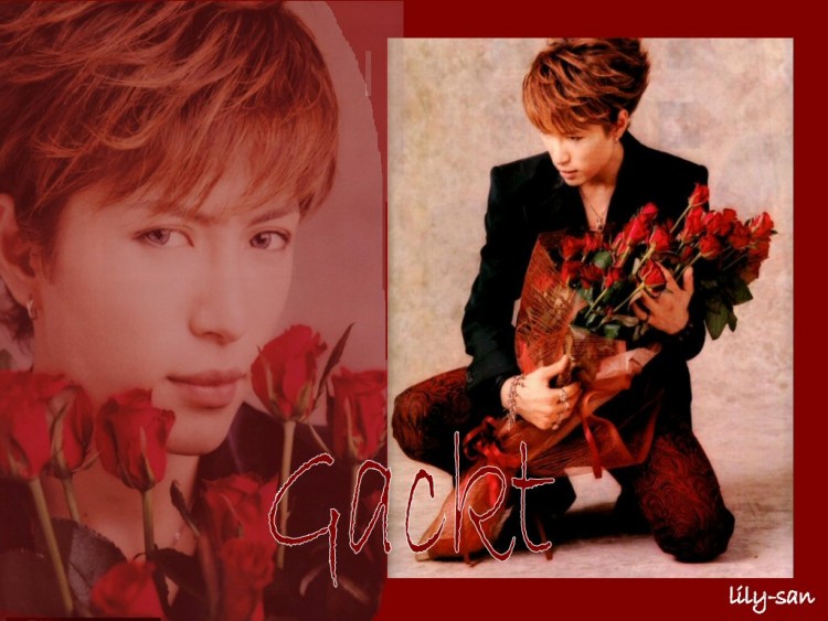 Wallpapers Music Gackt Roses