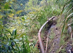 Fonds d'cran Voyages : Afrique Ile de la Reunion