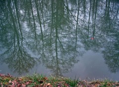 Fonds d'cran Nature Reflets...