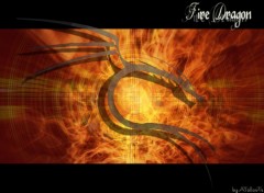 Fonds d'cran Art - Numrique Fire Dragon